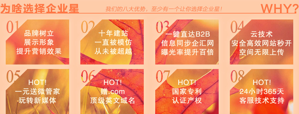 为啥选择企业星