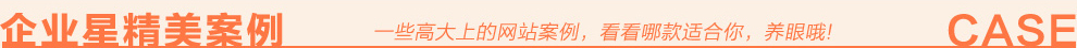 企业星精美案例