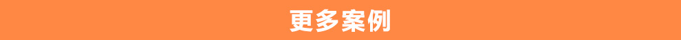 更多案例